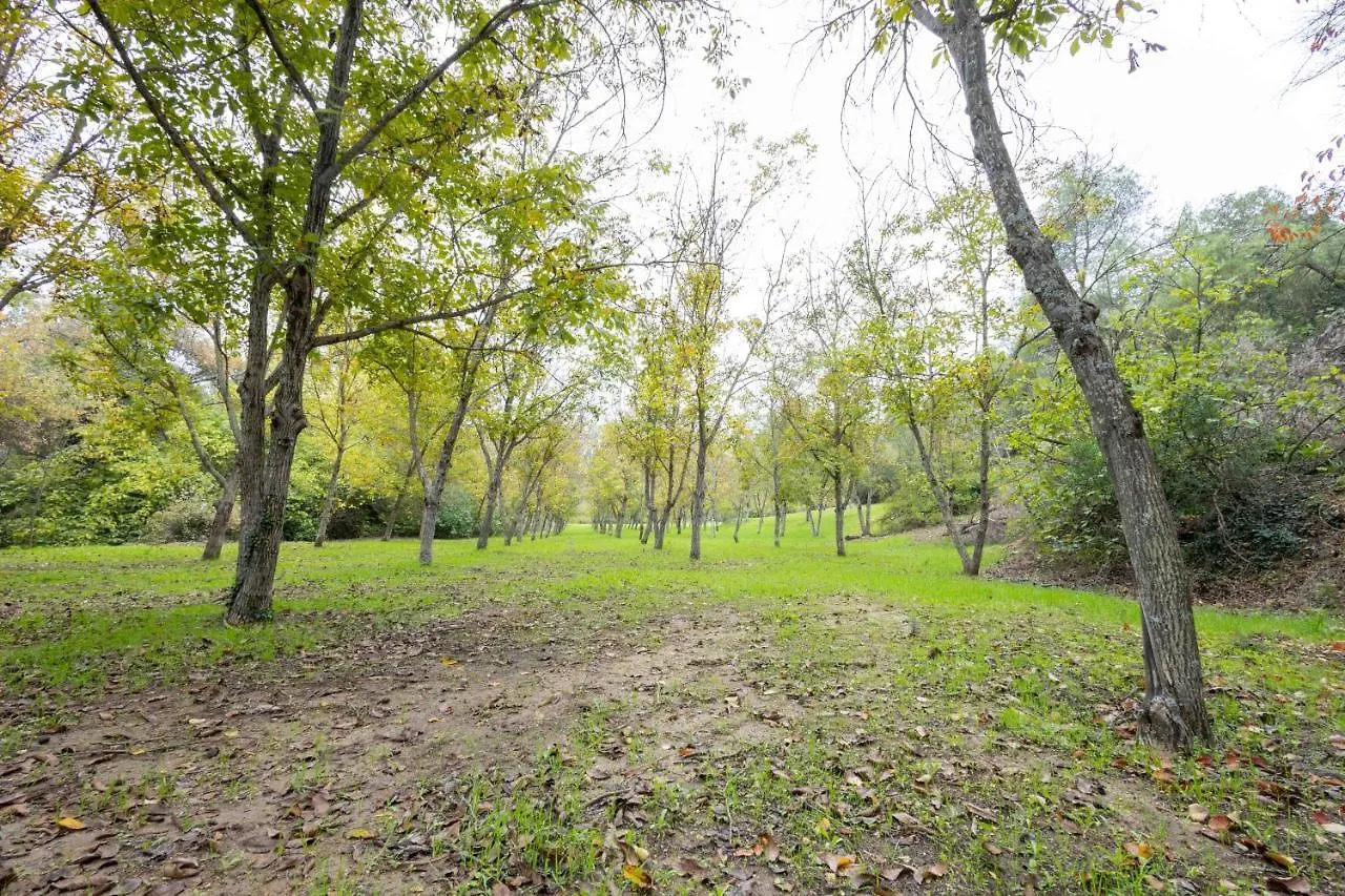 Сasa de vacaciones Villa Molino De Gris Cazorla Chilluevar